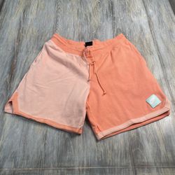 Nike Air Jordan Shorts 