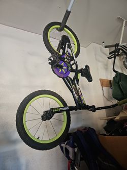 Ninja Turtle Bike