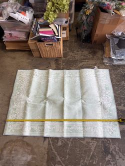 Sage Green Rug 47”x31.5”