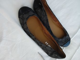 Coach size 7
