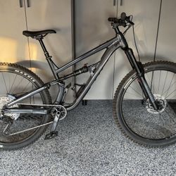 Blackthorn Depression 12- Speed Mountain Bike 