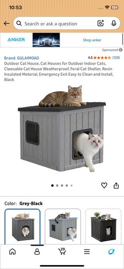 Cat House