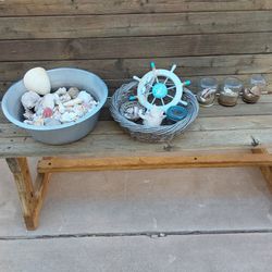 Lot of Sea Shells and Ocean Beach Items - $30 for ALL Pictured Together