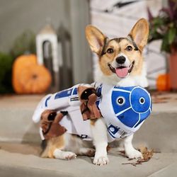 STAR WARS R2-D2 & Jawas Dog & Cat Costume