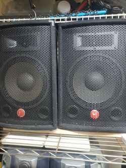 210 inch dj speakers