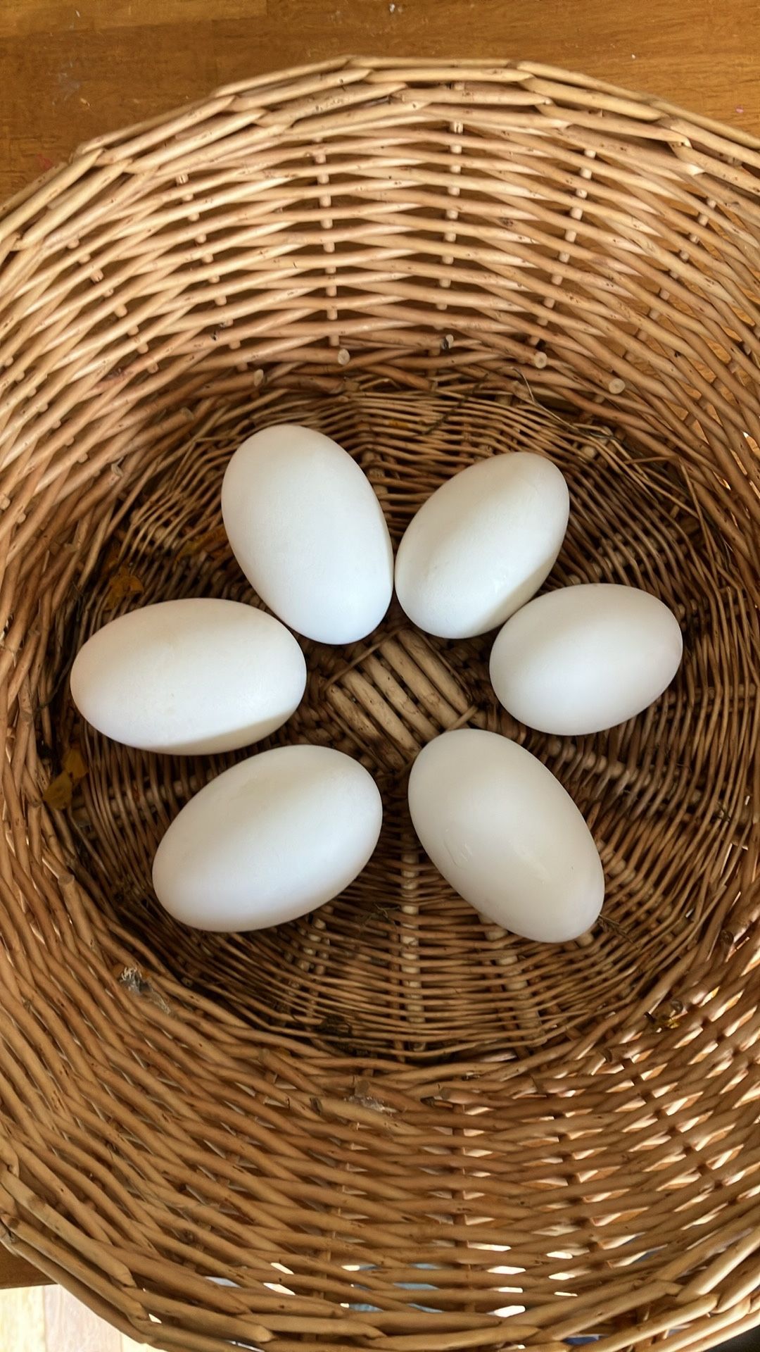 Fresh Goose Eggs Half-Dozen (6)