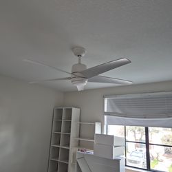 Ceiling fan