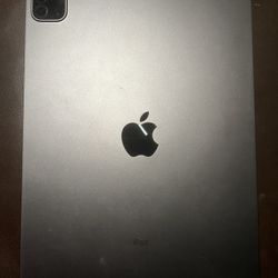 iPad Pro Second Gen 11 Inch 