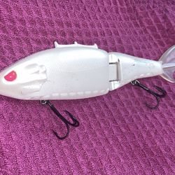 MiR Jr. Swimbait