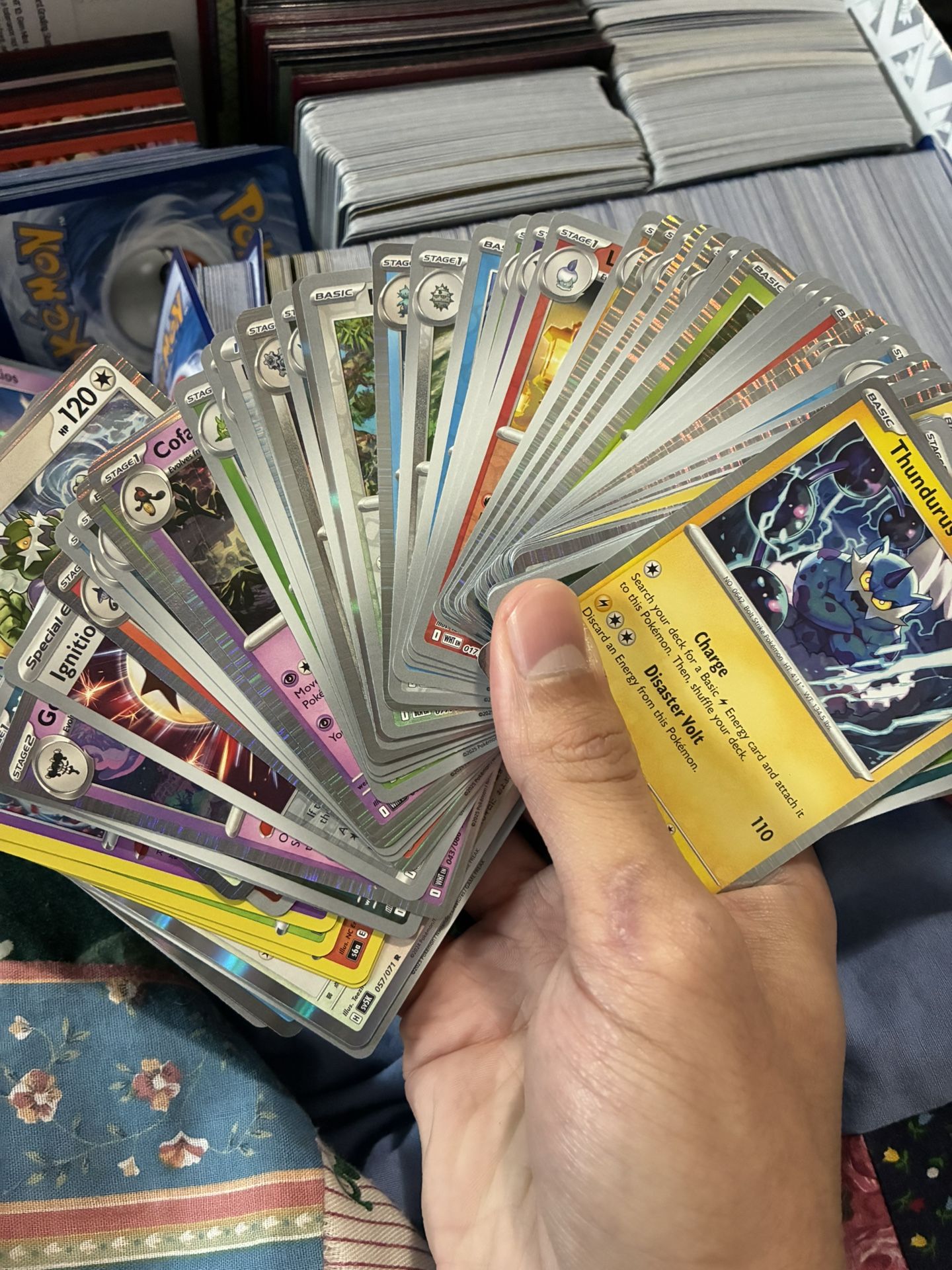 Pokemon Card Collection