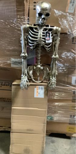 hyde and eek posable skeleton 60” h bronze