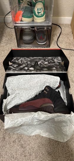 Retro Jordan 12s AMA