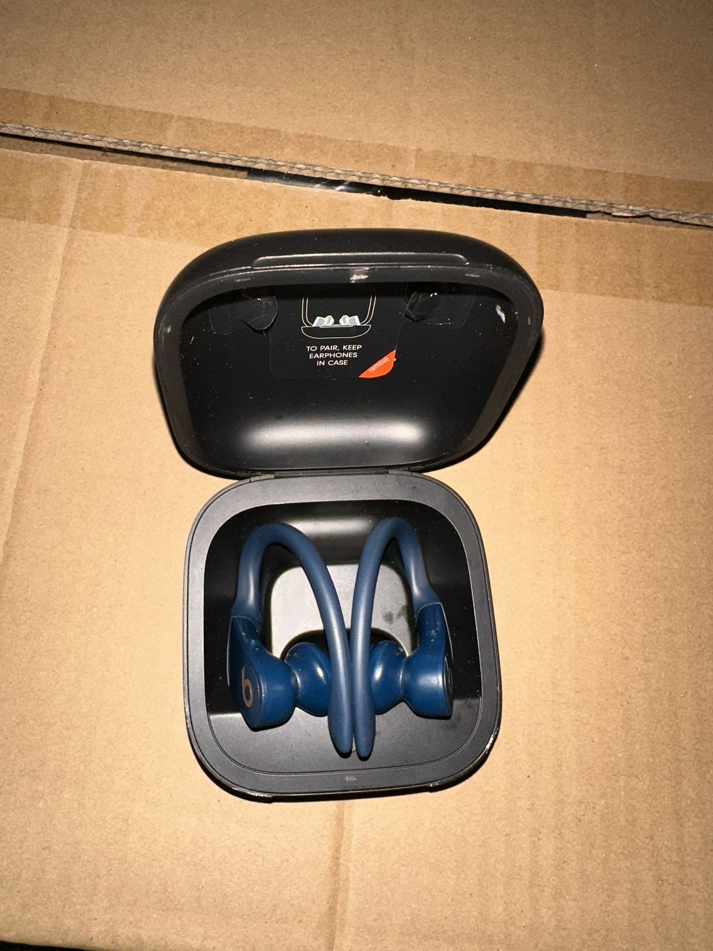 Beats Powerbeats Pro Wireless Earbuds