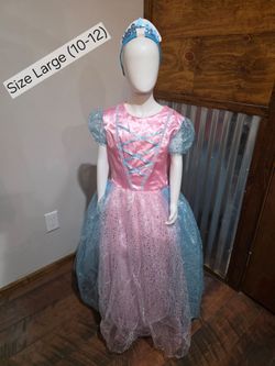 New Princess Costume