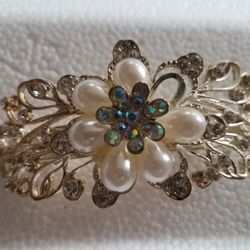 Elegant Barrette