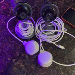 Nest Cams 