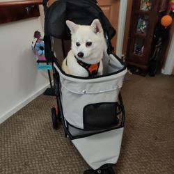 Dog Stroller - Brand New In Box