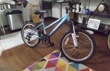 Mountain bike