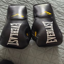 Everlast Elite Boxing Gloves 