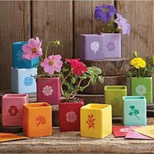   Red Envelope Windowsill Garden A Year in Seeds w/12 Ceramic Candy-Color Pots    