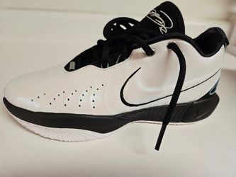 LeBron Size 9 Never Hit the Ground
