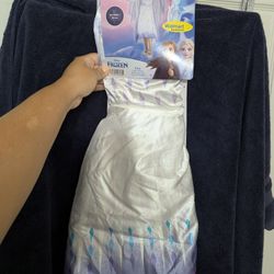 Elsa Costume 
