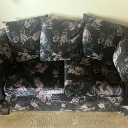 Sofa and Love seat Free