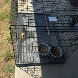 Dog Cage