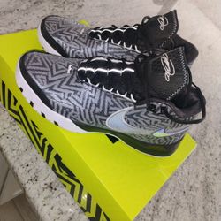 LeBron Nexxt Gen Basketball Shoes