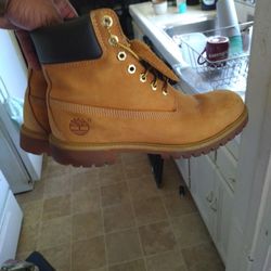 Timberland Shoes 