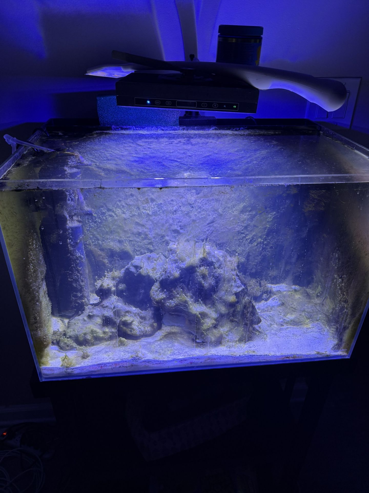 29 Gallon Fishtank