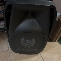 Blackmore BPA 152b Speaker 