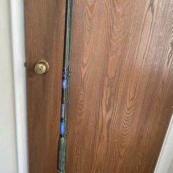 10ft Fishing Pole 