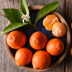 🍊 Tangelo Mandarin Tree – 4–5 ft Tall 🍊 $65
