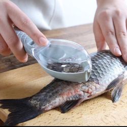 Fish scaler