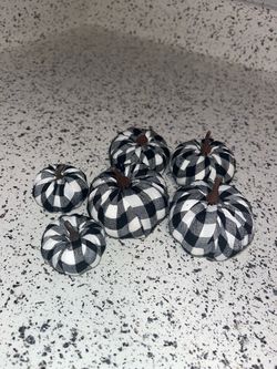 6 black and white pumpkins