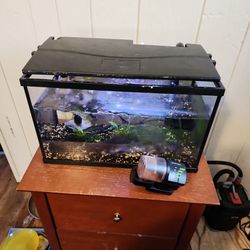 Fish Tank With ALL The Extras 