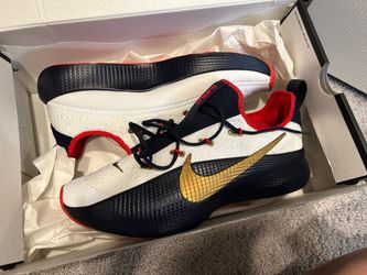 Brand New LeBron training shoes