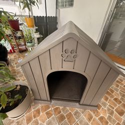 Dog House 