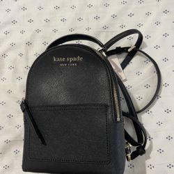 Purses/clothes