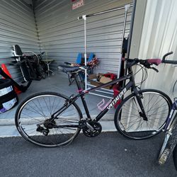 Specialized Road Bike 