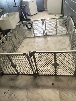 Play yard Ava now