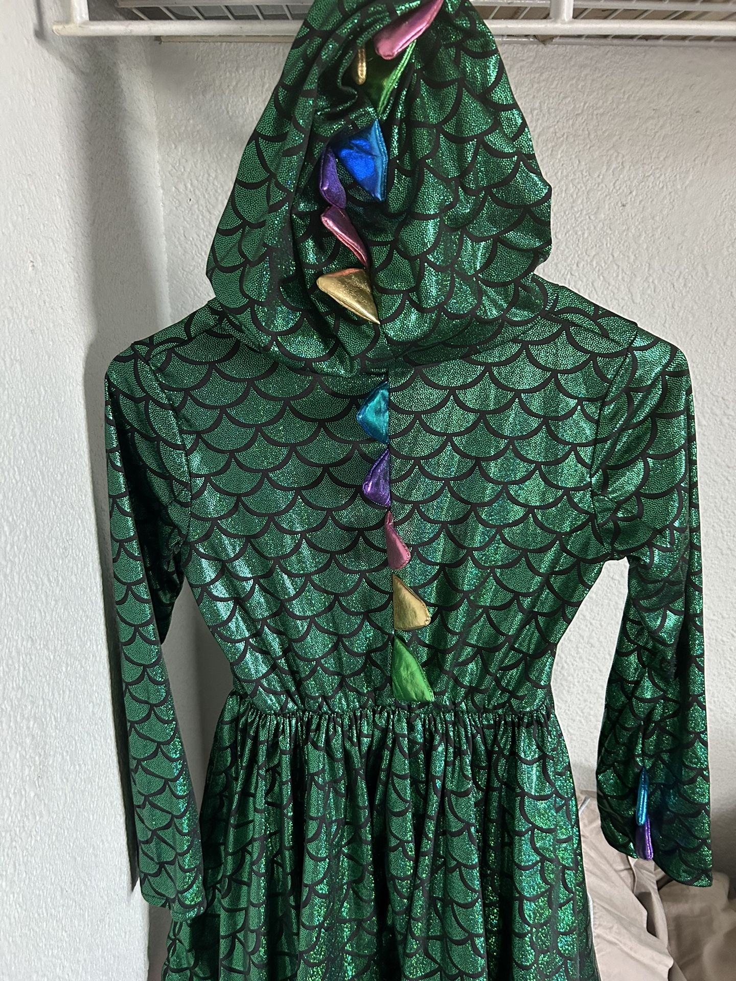 Dream Play Imagine Dragon Costume