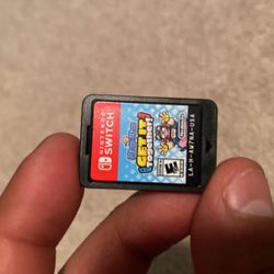 Nintendo Switch Game