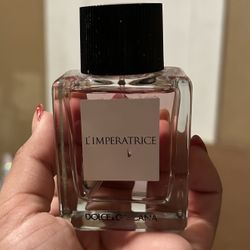 Dolce And Gabbana Perfume