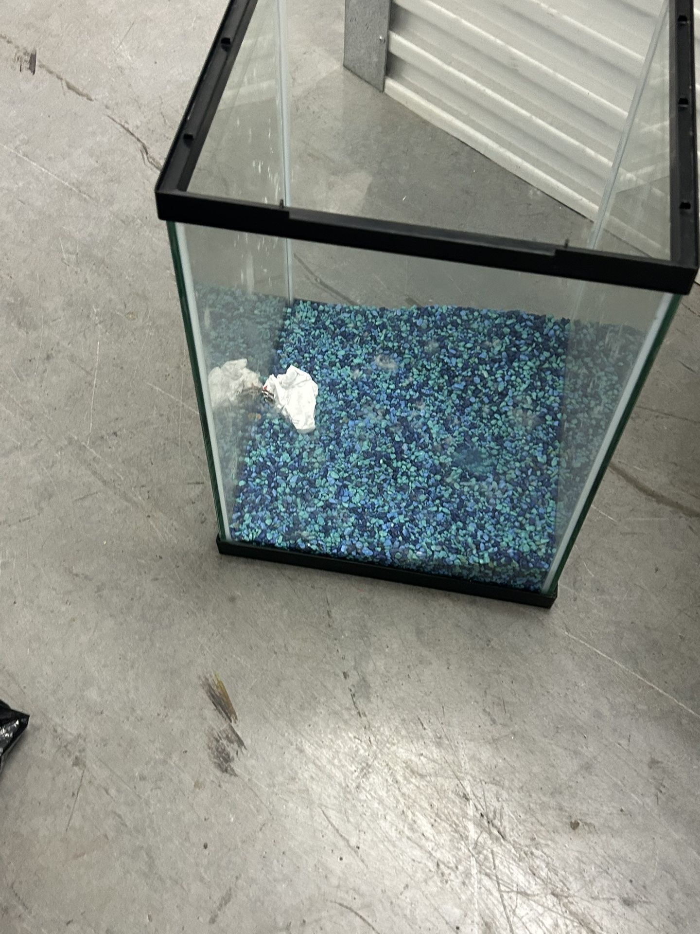 Fish Tank
