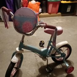 Toddler Training Bike