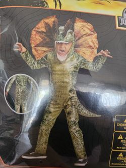 Child Costume