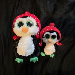 Ty Freeze small & medium size