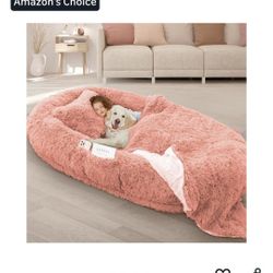 Human Dog BED